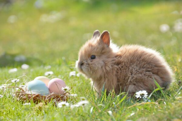 Ostern Pixabay