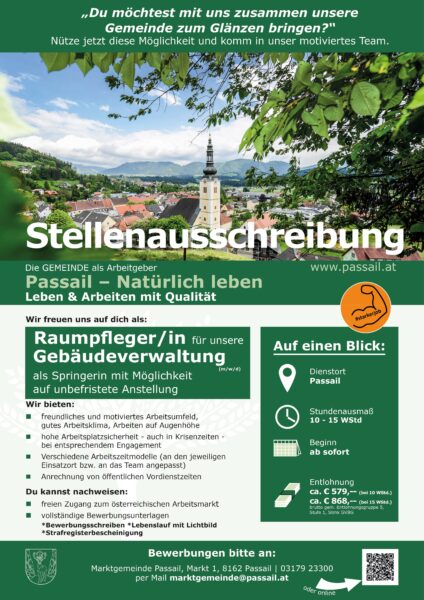 Stellenausschreibung_Reinigungskraft Springerin 2025