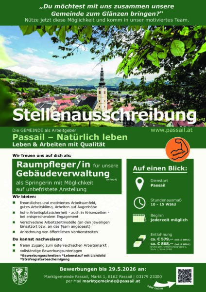 Stellenausschreibung_Reinigungskraft Springerin allgemein