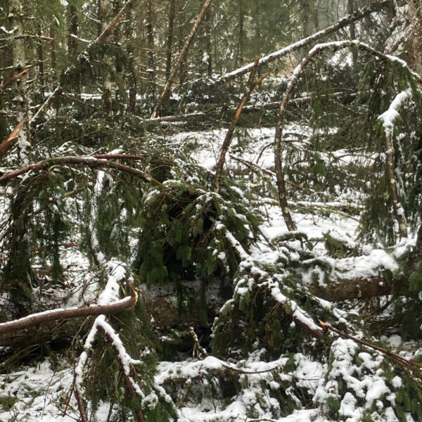 c5c59ae8153e830679196b8b2a4828f38c33f45f