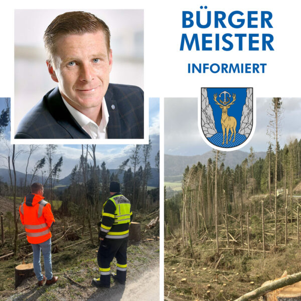 564cde51c4b1537dfaf19a7412ad90edeb791a88