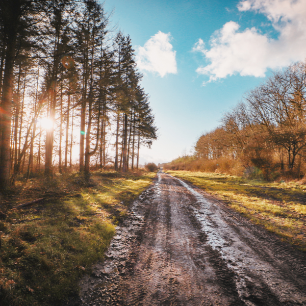 0cc5e8d86fc3533c2141437d140c1c4ff0151a17