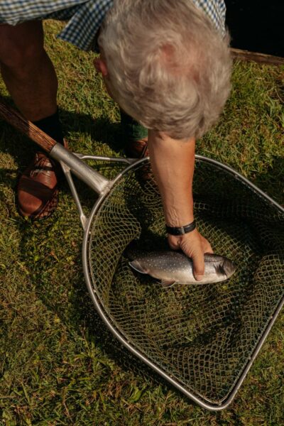 Fisch Regional Almenland
